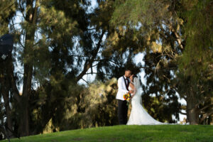 Bride and Groom kissing on top of green grass hill